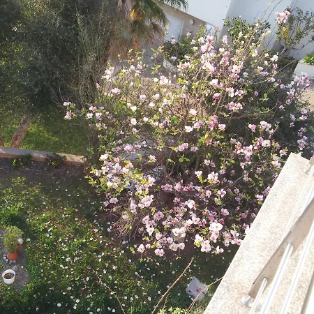 Com O Douro A Vista *