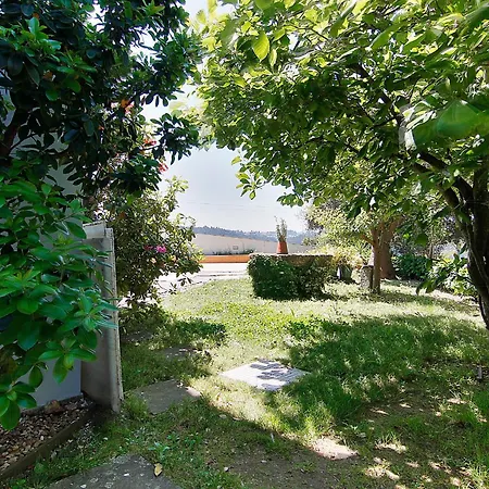 Alojamento de Acomodação e Pequeno-almoço Com O Douro à Vista *