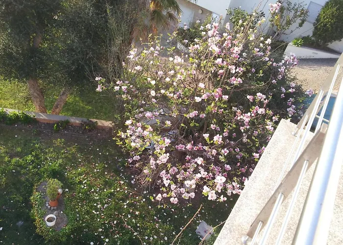 Com O Douro A Vista *