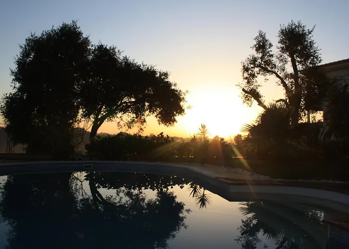 Com O Douro A Vista Jovim