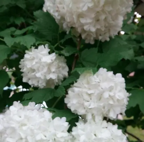 Com O Douro à Vista Bed & Breakfast