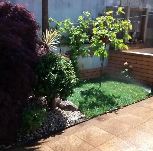 Bed & Breakfast Com O Douro à Vista Jovim