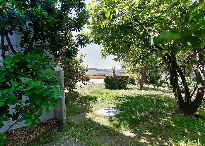 לינה וארוחת בוקר Com O Douro A Vista *