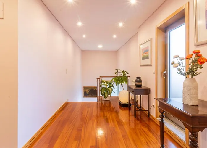 Com O Douro A Vista Jovim